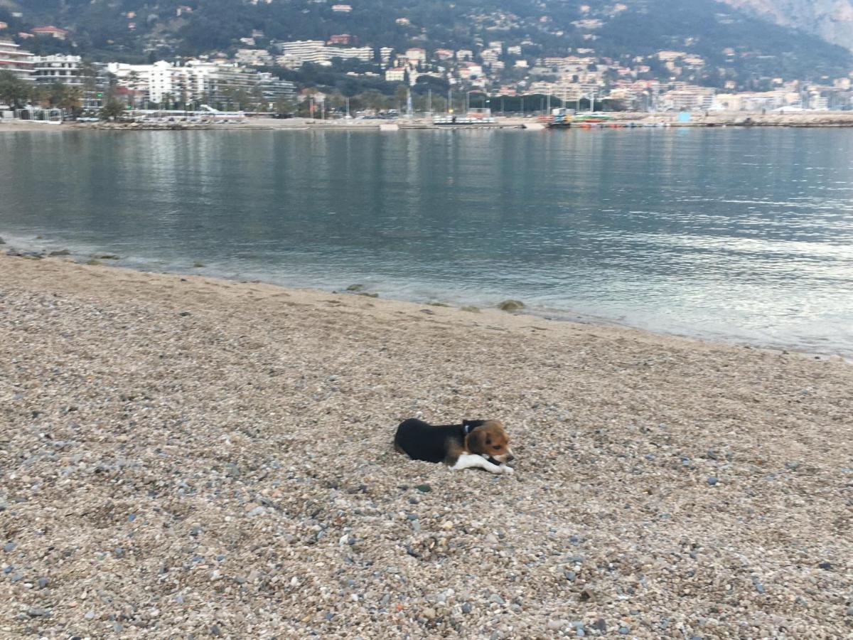 Appartement Maroelvi Menton Luaran gambar